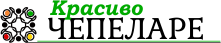 Към онлайн издание Красиво Чепеларе